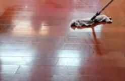 辦公區(qū)域保潔要注意哪些方面呢？